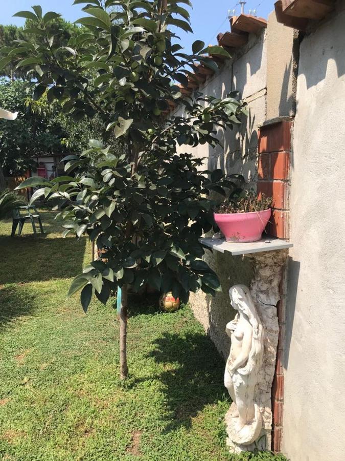 Mirella'S House Viaverona Ardea Exterior foto